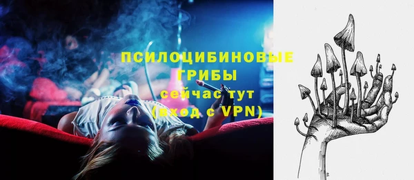 прущая мука Каменка