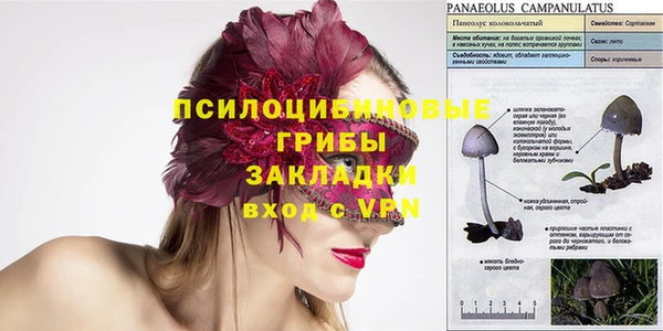 прущая мука Каменка