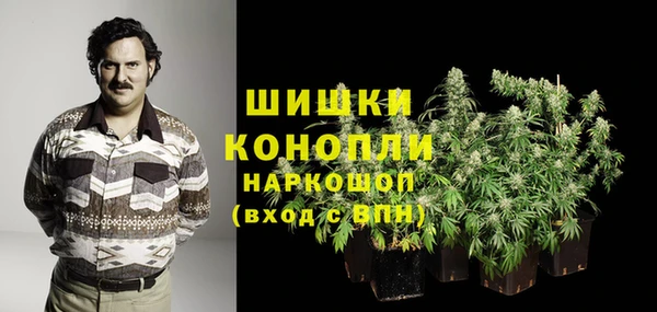 прущая мука Каменка