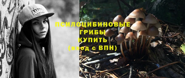 каннабис Каменногорск
