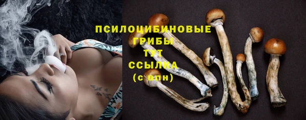 каннабис Каменногорск
