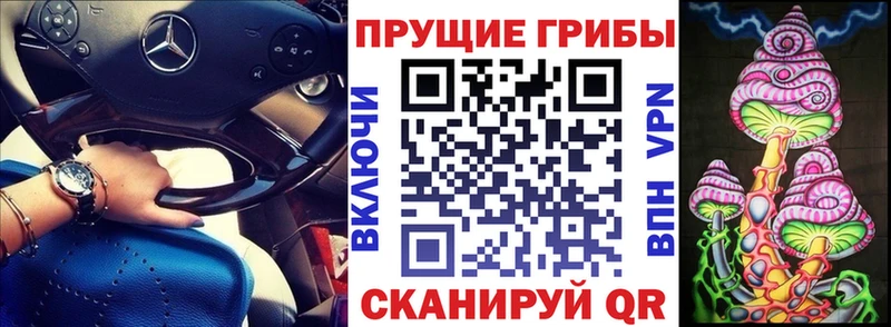 Купить закладки  Курильск  Галлюциногенные грибы мицелий 